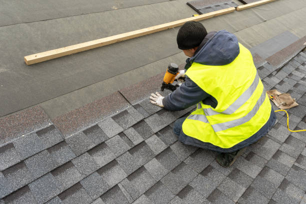 Best Metal Roofing Contractor  in Mount Ida, AR
