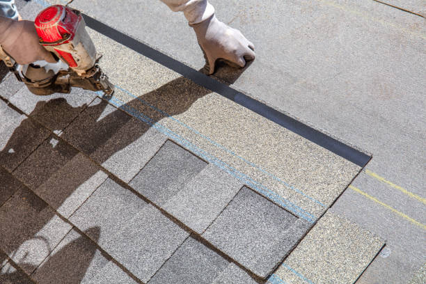 Best Roof Repair Services  in Mount Ida, AR